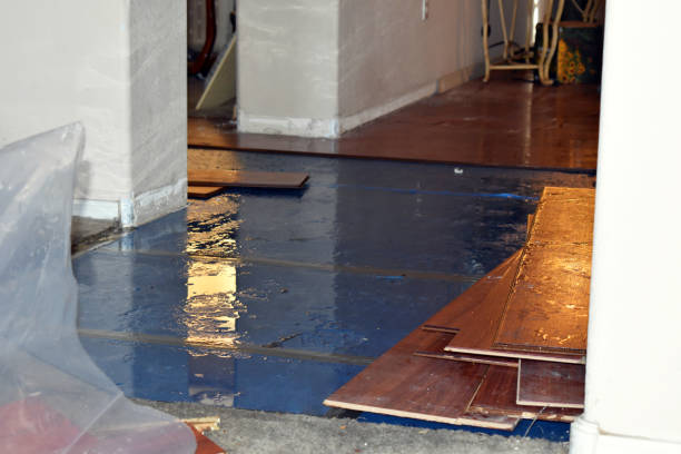 Professional Basement Flood Cleanup technician working in Trenton, FL